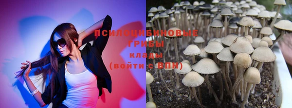 СК Кулебаки