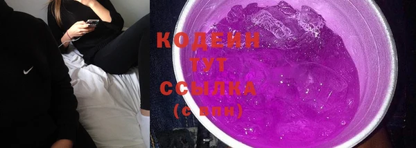 тгк Кукмор