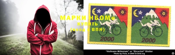 прущие грибы Вязьма