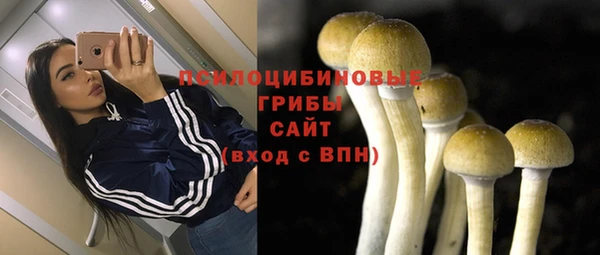 индика Кадников