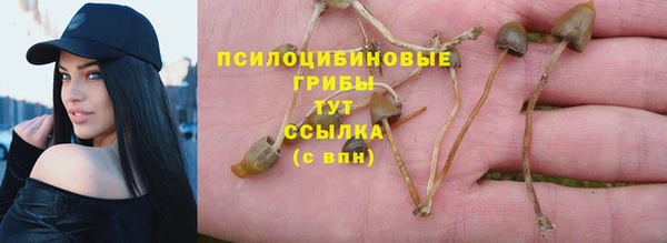 дживик Куйбышев