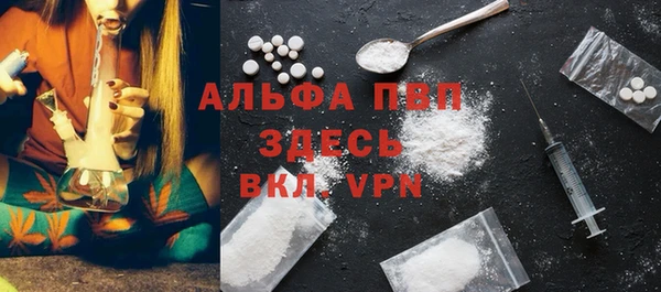 индика Кадников