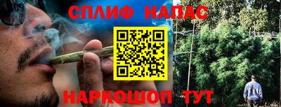 спайс Гусев