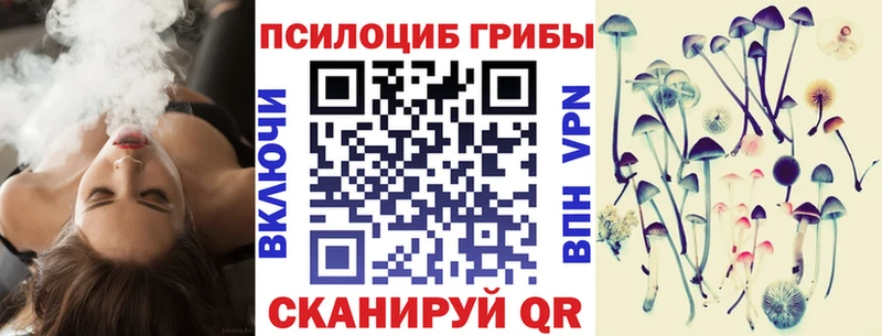 Псилоцибиновые грибы MAGIC MUSHROOMS  купить   Мценск 