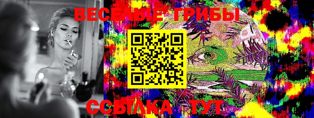 Псилоцибиновые грибы ЛСД  Мценск  Псилоцибиновые грибы Psilocybe 