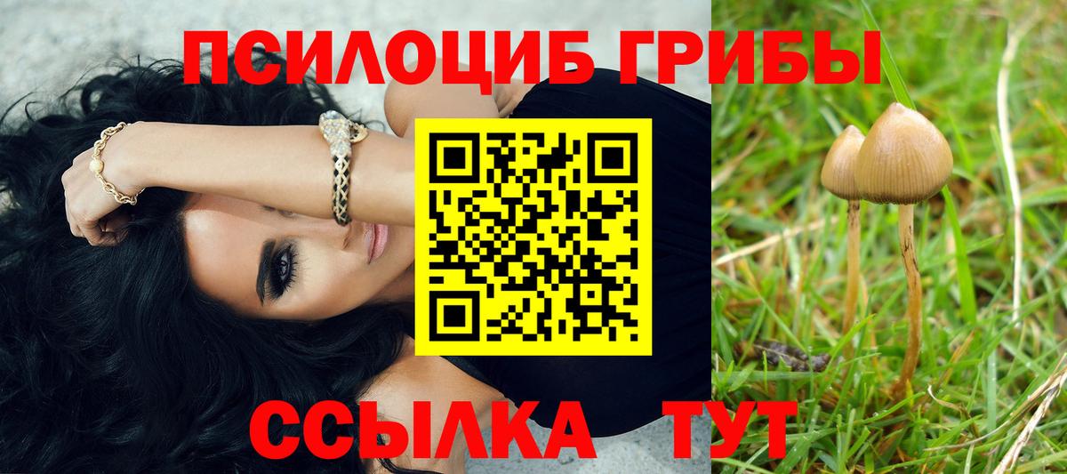 Галлюциногенные грибы MAGIC MUSHROOMS  Вход с VPN  Мценск 