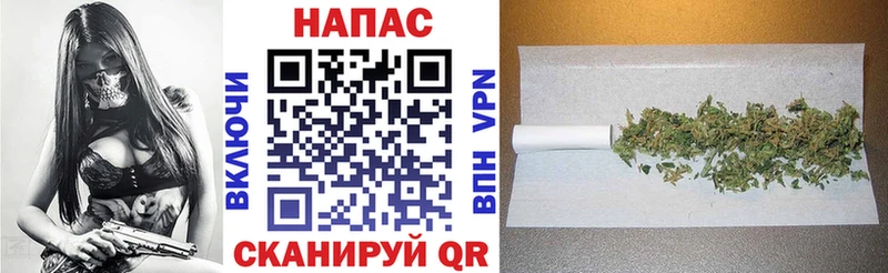 Бошки марихуана сатива  Мценск 