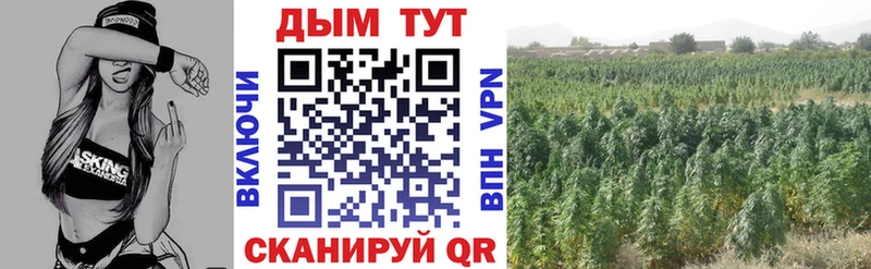 Шишки марихуана тримм Мценск